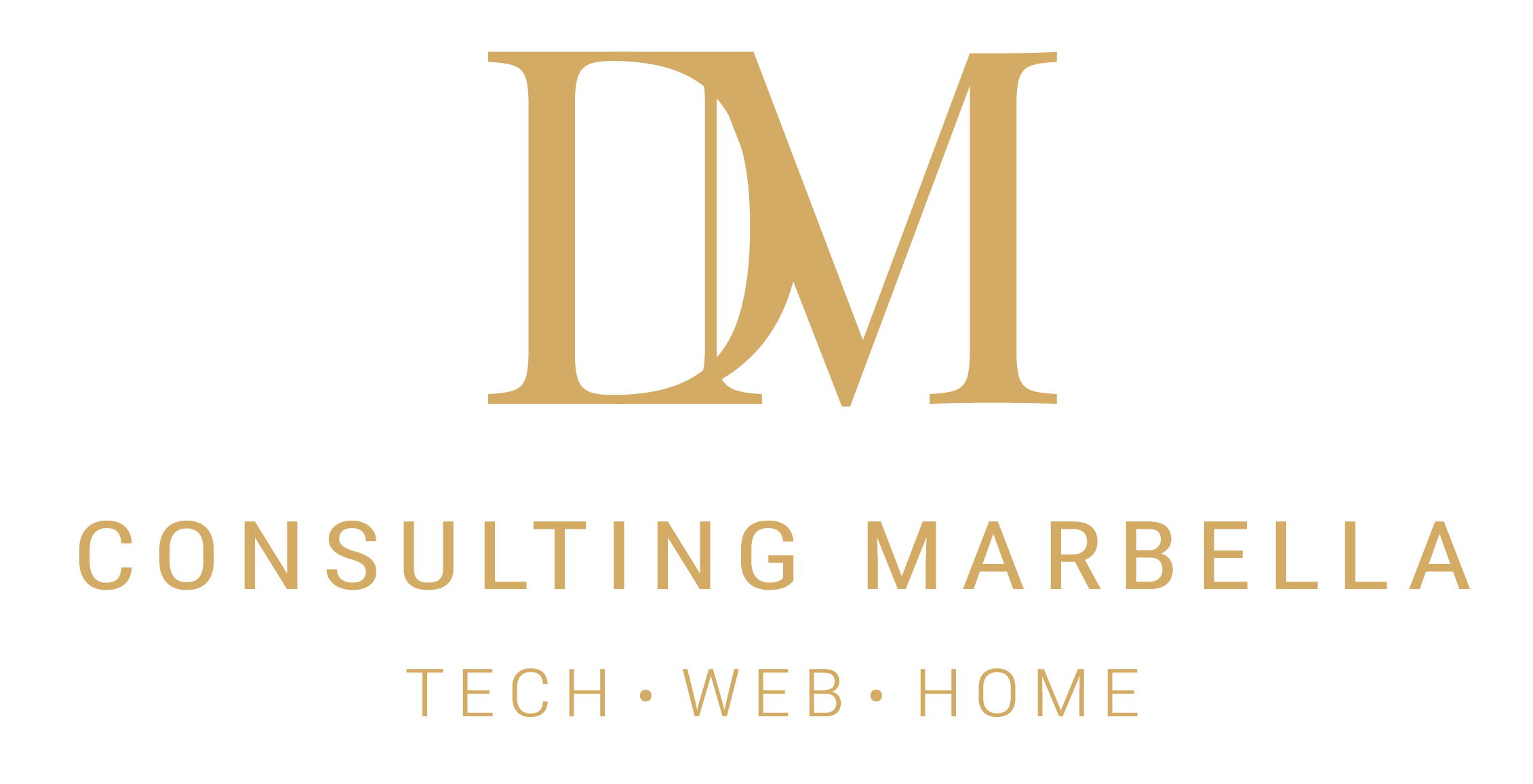 DM Consulting Marbella - Tech Web Home